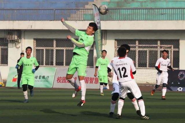 曾被流浪者抛弃的弗格森，仍心系故土梦回家